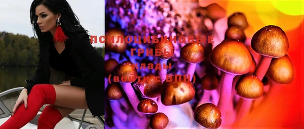 Альфа ПВП Арсеньев
